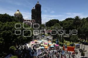 PLAYA ARTIFICIAL . ZOCALO