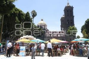 PLAYA ARTIFICIAL . ZOCALO