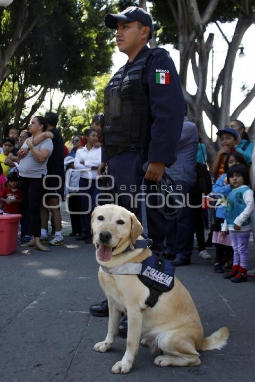 DEMOSTRACIÓN CANINA K-9