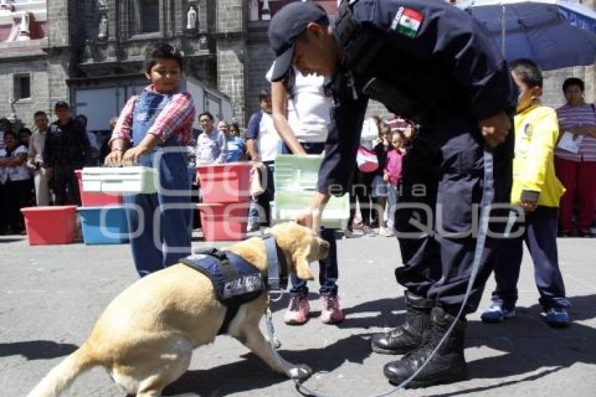 DEMOSTRACIÓN CANINA K-9