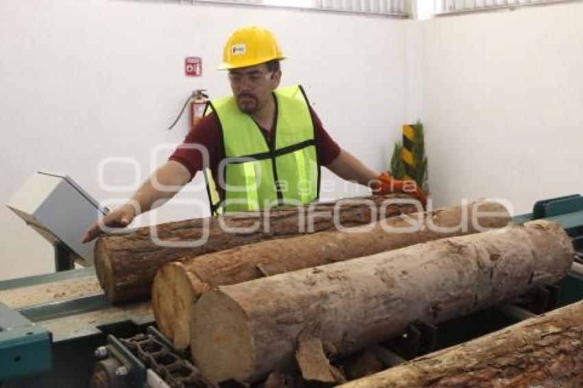 PROYECTOS FORESTALES, CONAFOR