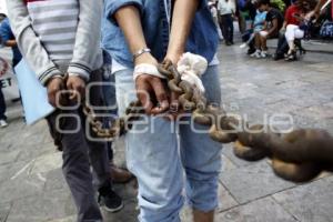 MANIFESTACIÓN FEET