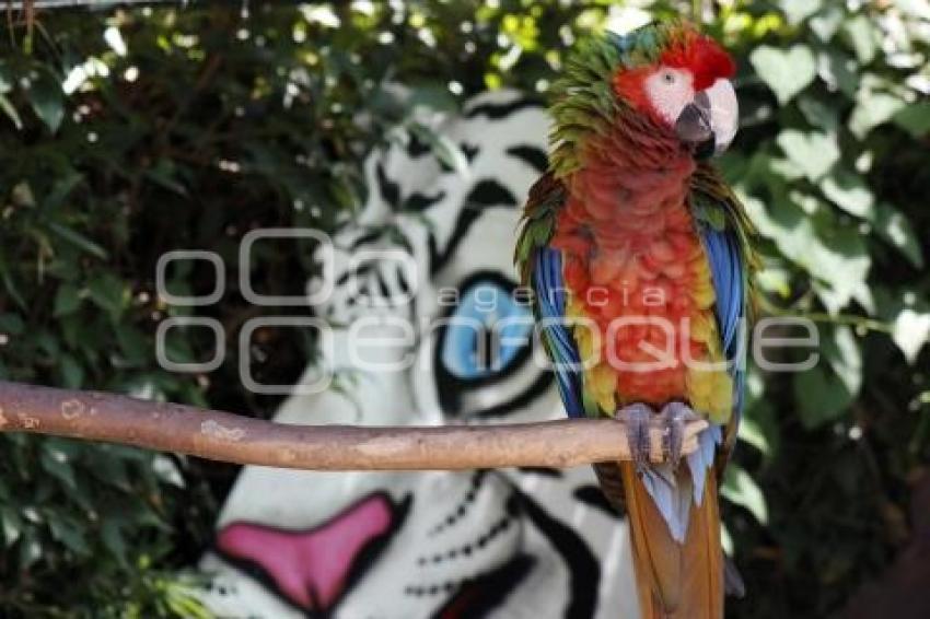 PARQUE LORO 