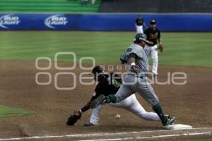 BÉISBOL . PERICOS VS LEONES