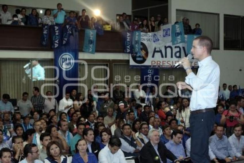 RICARDO ANAYA