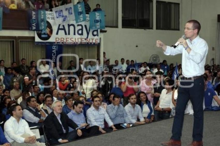 RICARDO ANAYA