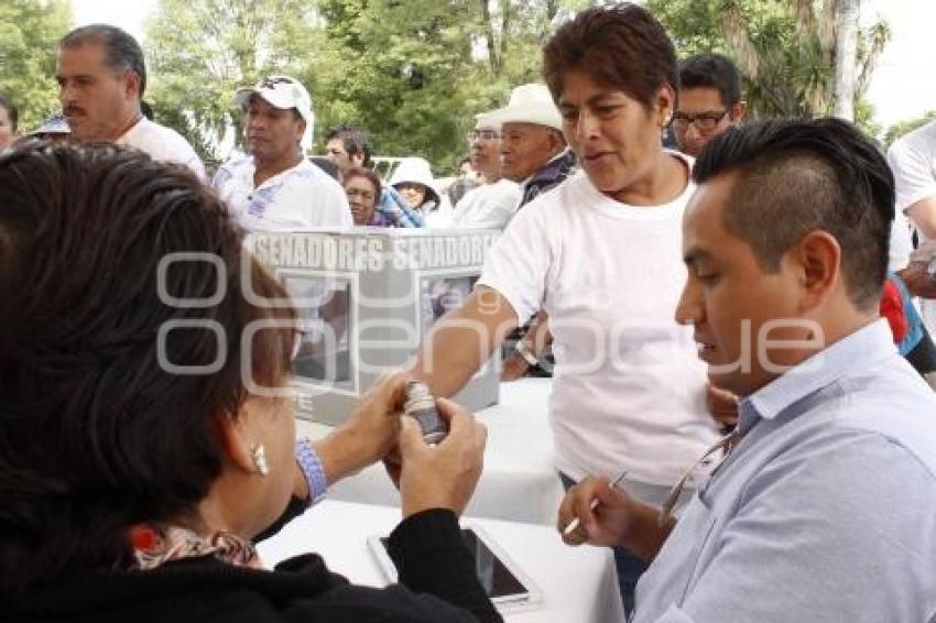 PAN . ELECCIONES 