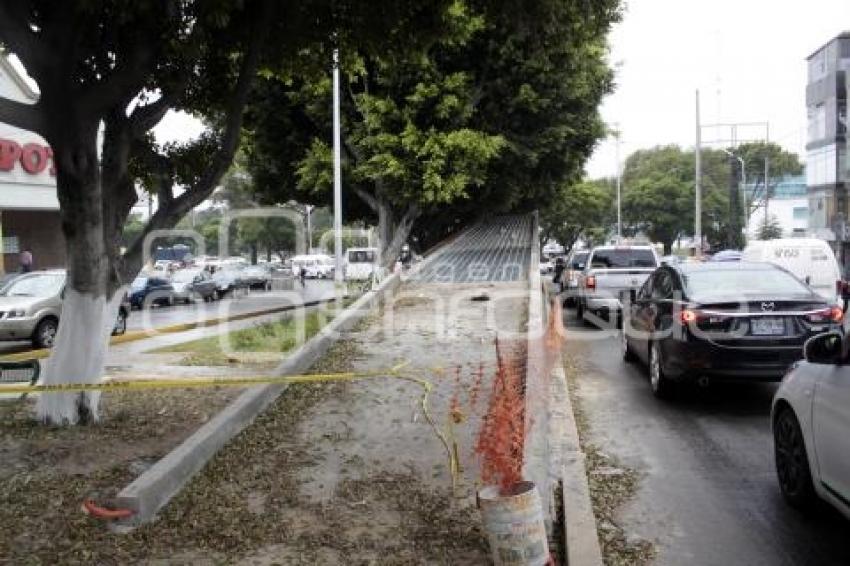 CICLOPISTA UNIVERSITARIA