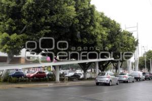 CICLOPISTA UNIVERSITARIA