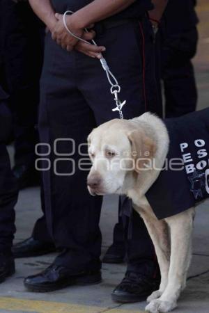 DÍA DEL BOMBERO