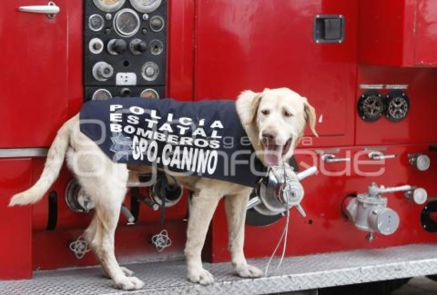 DÍA DEL BOMBERO