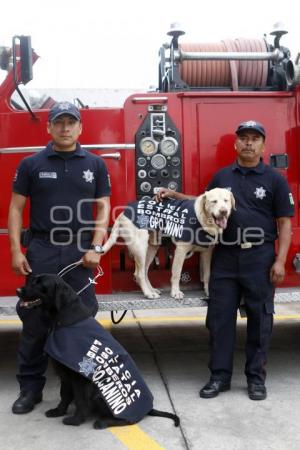 DÍA DEL BOMBERO