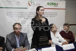 FORO ESTATAL DE CONSULTA PÚBLICA