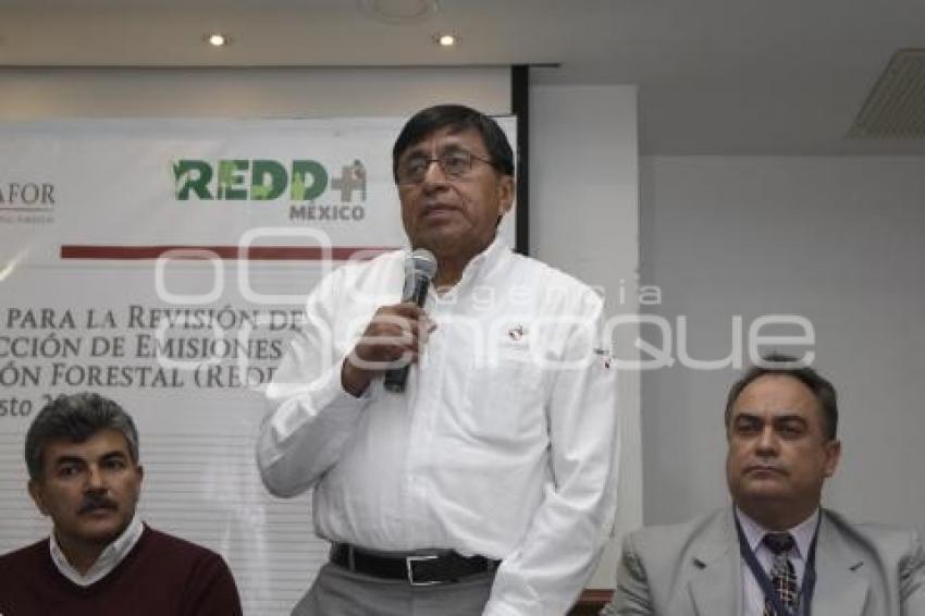 FORO ESTATAL DE CONSULTA PÚBLICA