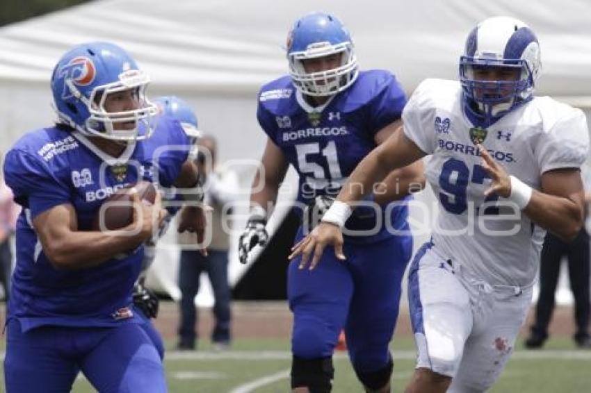 FUTBOL AMERICANO . BORREGOS PUE VS BORREGOS MTY