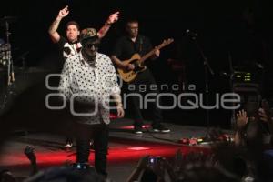 CONCIERTO . LOS AUTÉNTICOS DECADENTES
