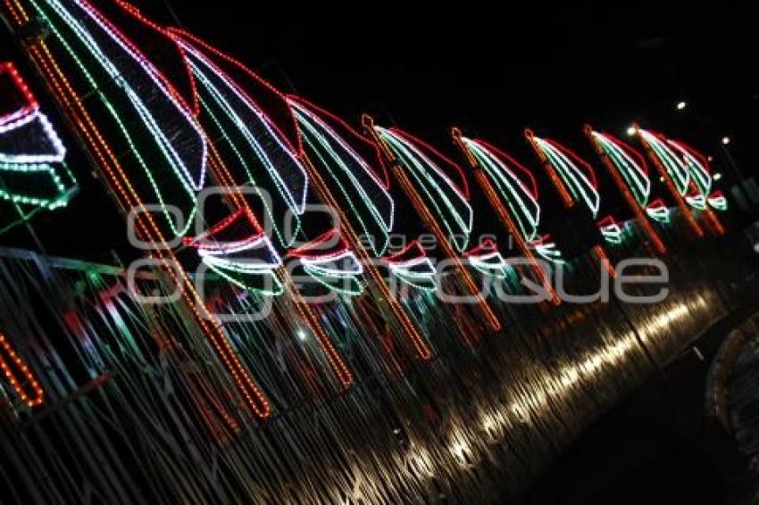 MES PATRIO . ILUMINACIÓN