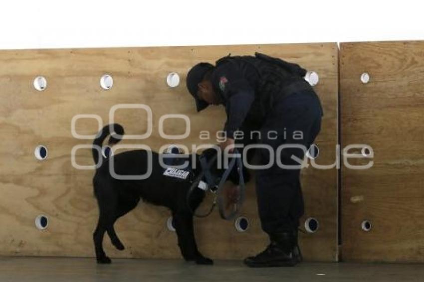 CURSO MANEJO CANINO K9