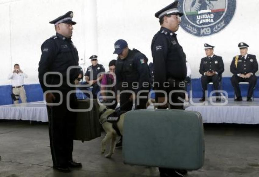 CURSO MANEJO CANINO K9