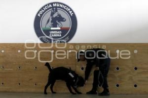 CURSO MANEJO CANINO K9