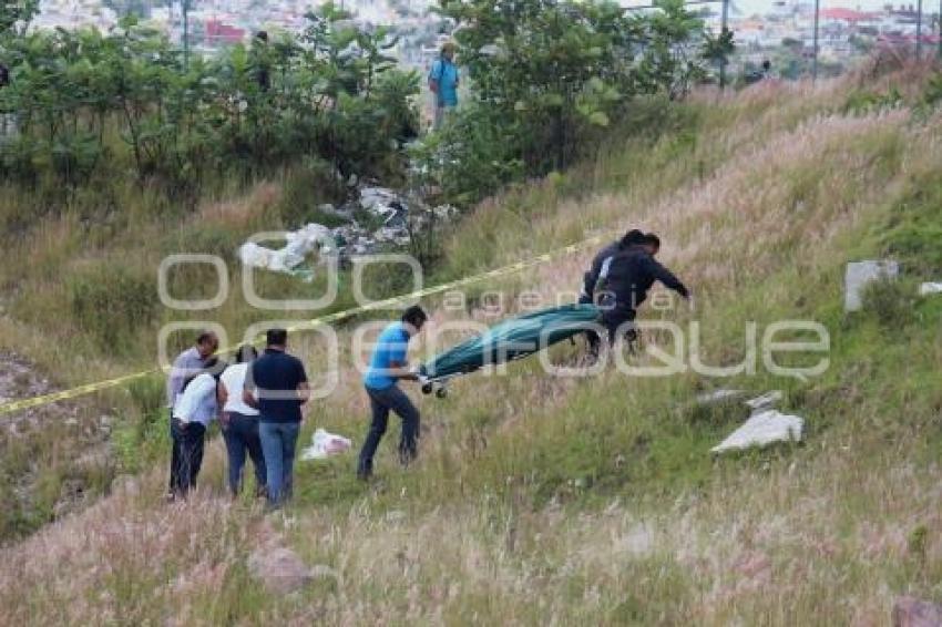 GOLPEADA LA GUADALUPANA