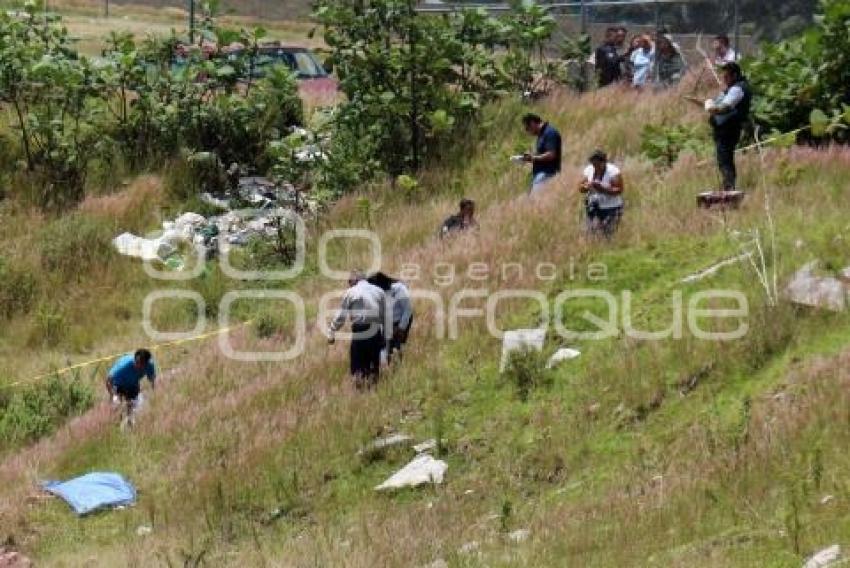 GOLPEADA LA GUADALUPANA