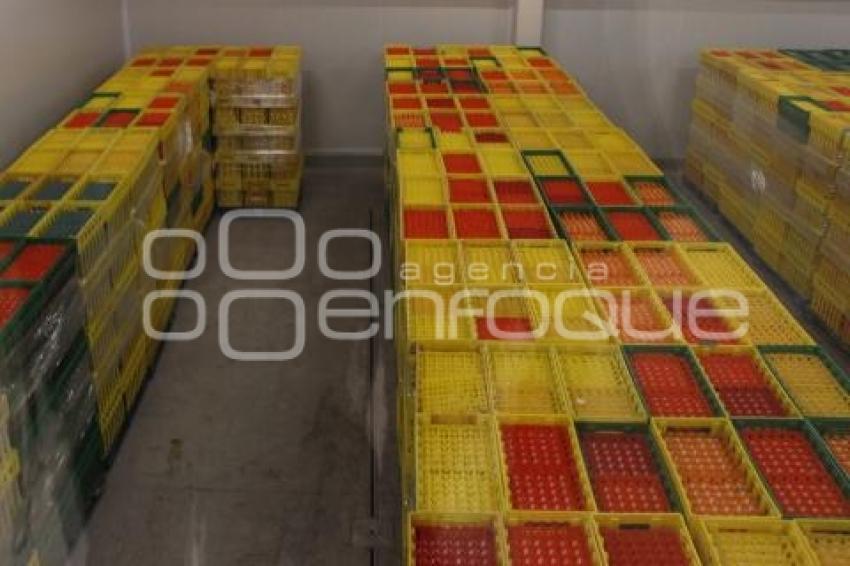 PLANTA INDUSTRIAL DE HUEVO 