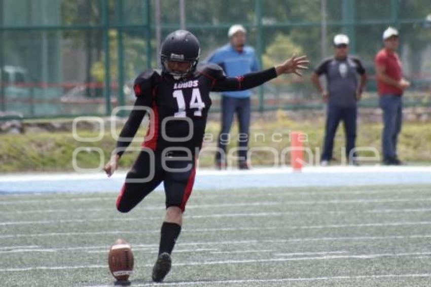 LOBOS BUAP VS TOROS SALVAJES 