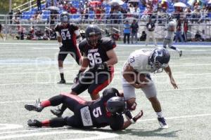 LOBOS BUAP VS TOROS SALVAJES 