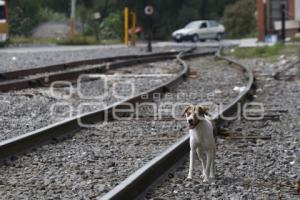 TREN TURÍSTICO . RECORRIDO