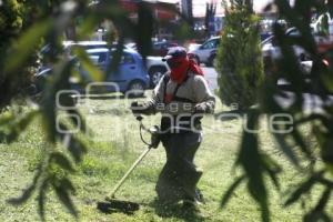 PARQUES Y JARDINES . CHOLULA