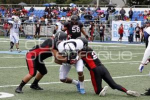 LOBOS BUAP VS HALCONES UV