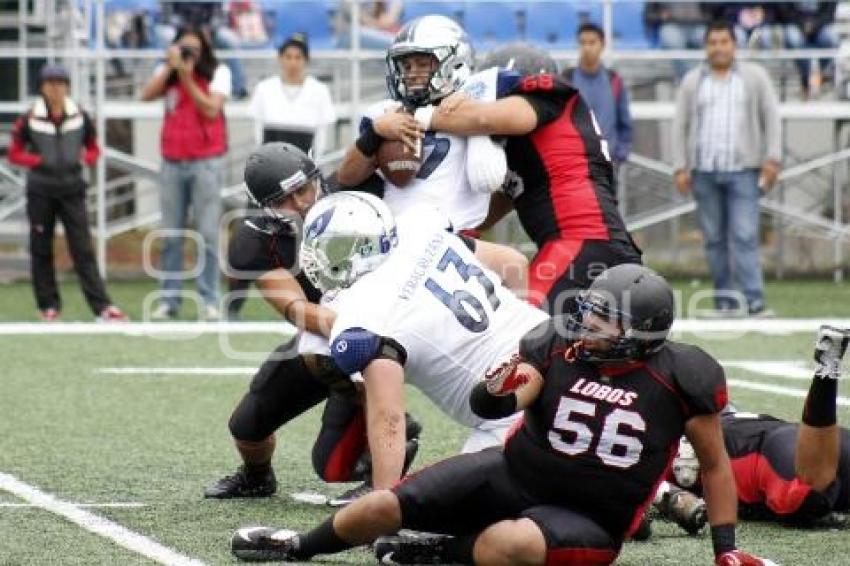 LOBOS BUAP VS HALCONES UV