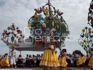 50 FESTIVAL DEL HUEY ATLIXCAYOTL