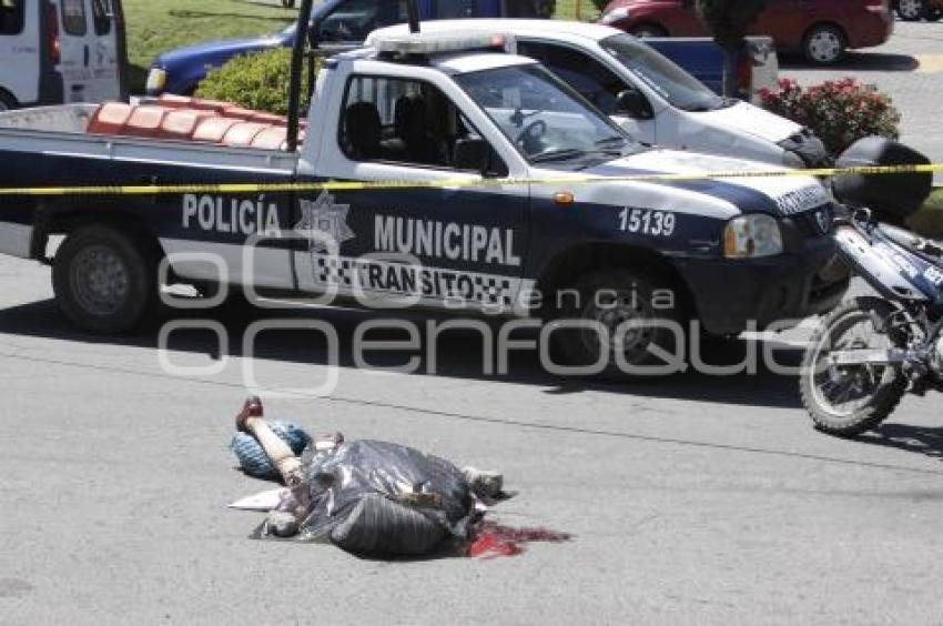 ATROPELLA TRANSPORTE PÚBLICO