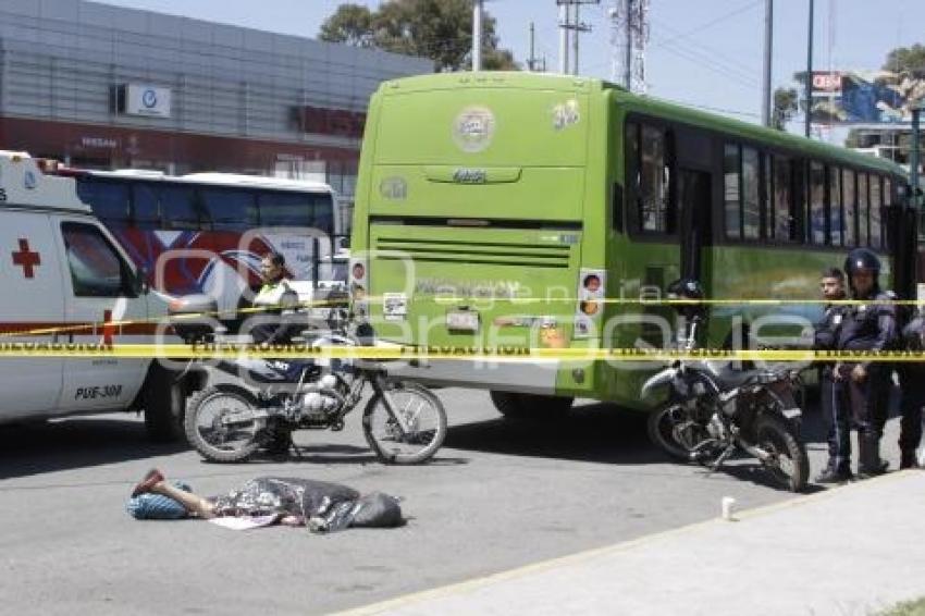 ATROPELLA TRANSPORTE PÚBLICO