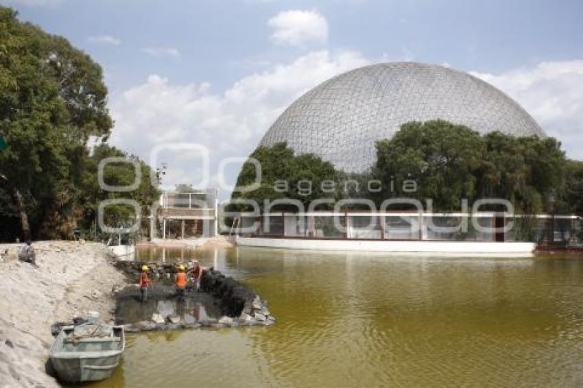 ÁRBOL ARTIFICIAL . PARQUE ECOLÓGICO