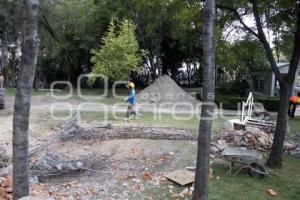 ÁRBOL ARTIFICIAL . PARQUE ECOLÓGICO