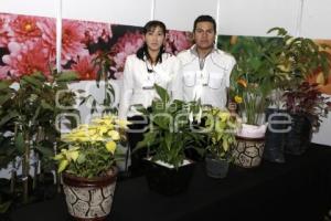 EXPO MÉXICO FLORIDO INTERNACIONAL