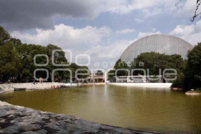 ÁRBOL ARTIFICIAL . PARQUE ECOLÓGICO