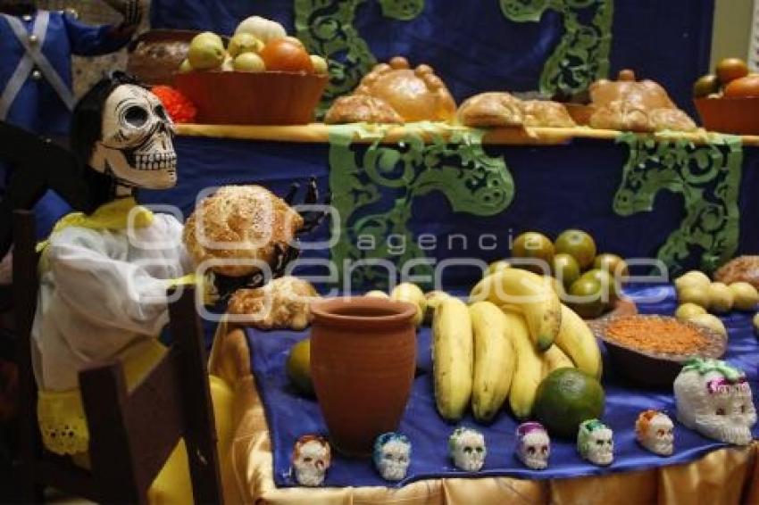 OFRENDA CONGRESO