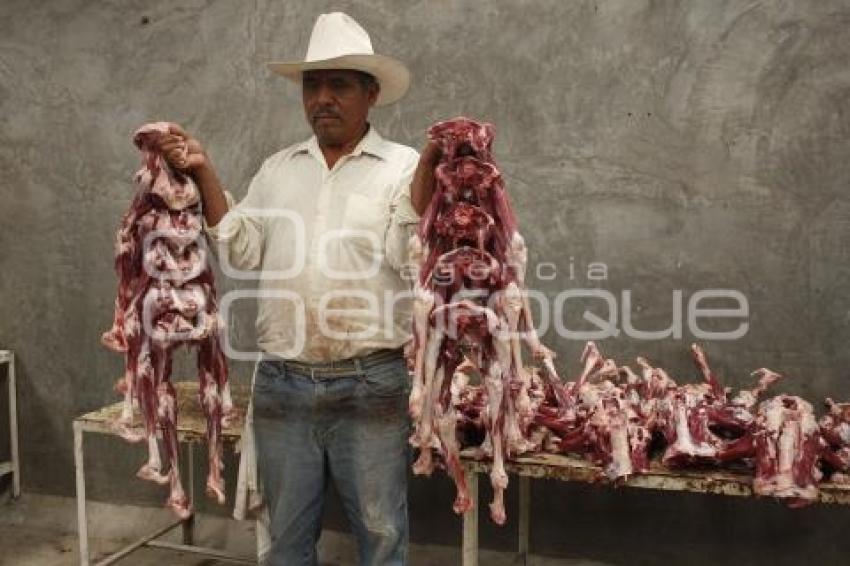 FESTIVAL MOLE DE CADERAS