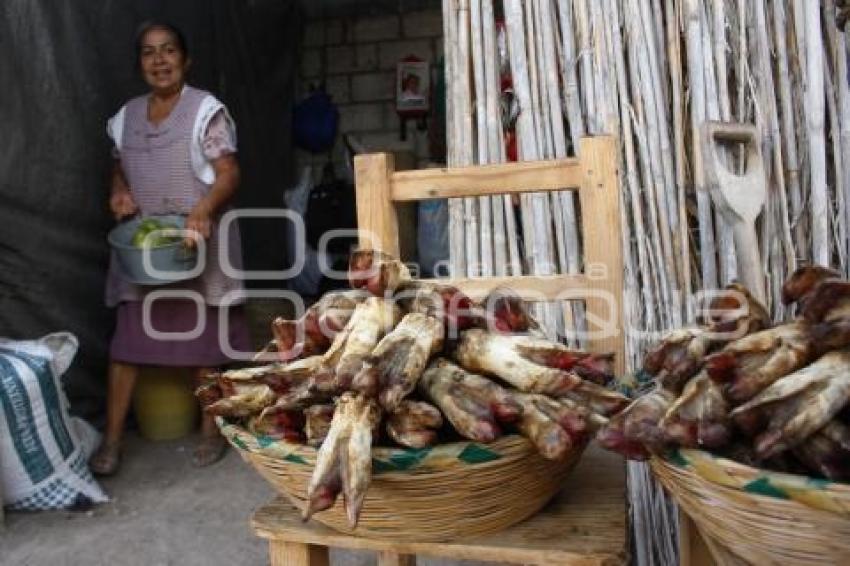 FAMILIARES MATANCEROS