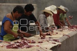 FESTIVAL MOLE DE CADERAS