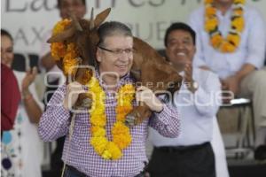 FESTIVAL DEL MOLE DE CADERAS