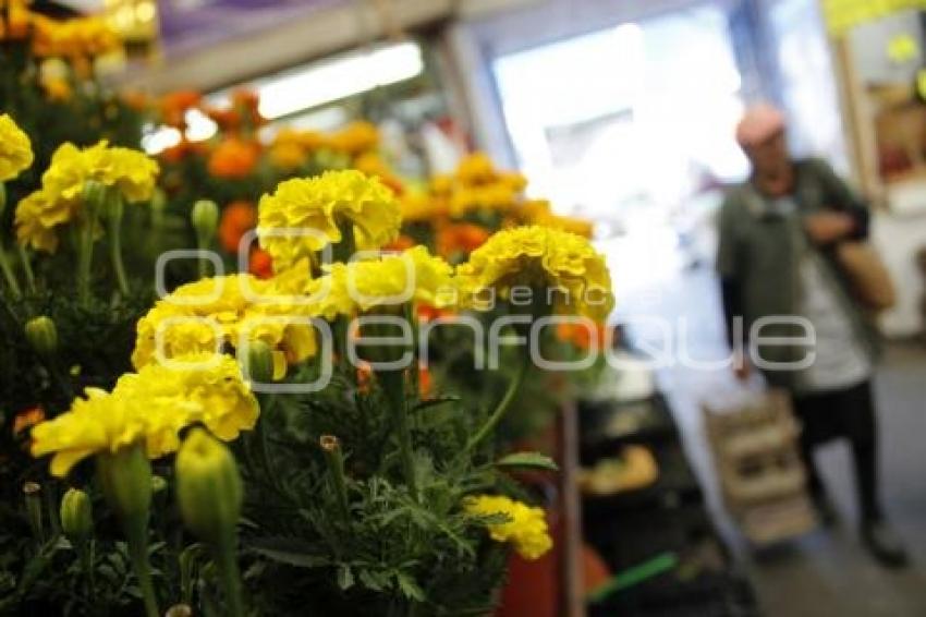 DÍA DE MUERTOS . COMERCIO 