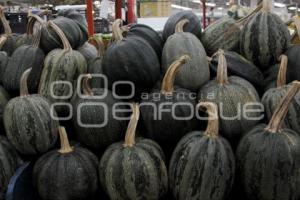 DÍA DE MUERTOS . COMERCIO 