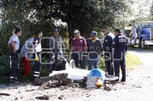 MUERE TAQUERO EN TEXMELUCAN