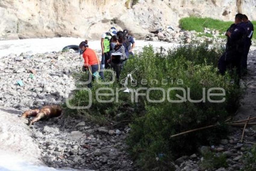 MUERTA EN EL RÍO ALSESECA