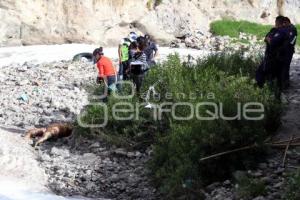 MUERTA EN EL RÍO ALSESECA